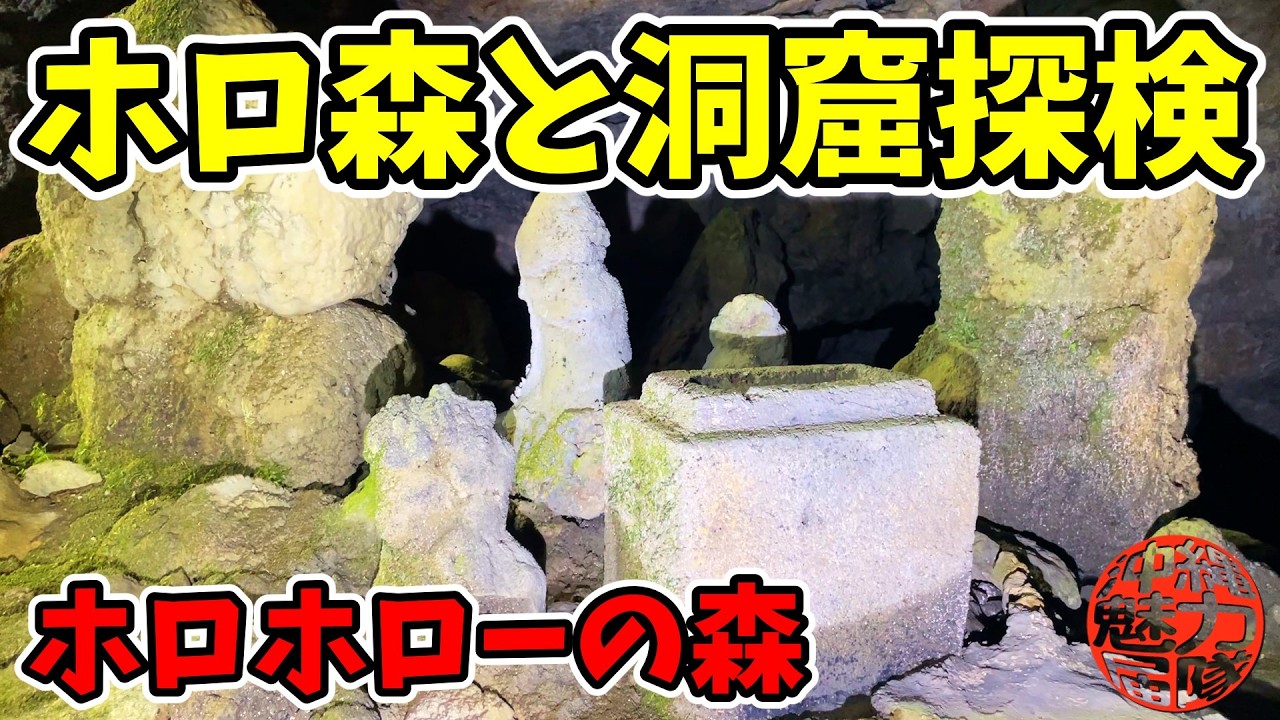 【ホロホローの森】ぐしちゃん浜からホロ森に入って洞窟探検！ぐしちゃん浜・旧日本軍爆弾処理場跡・ホロホローの森・洞窟！