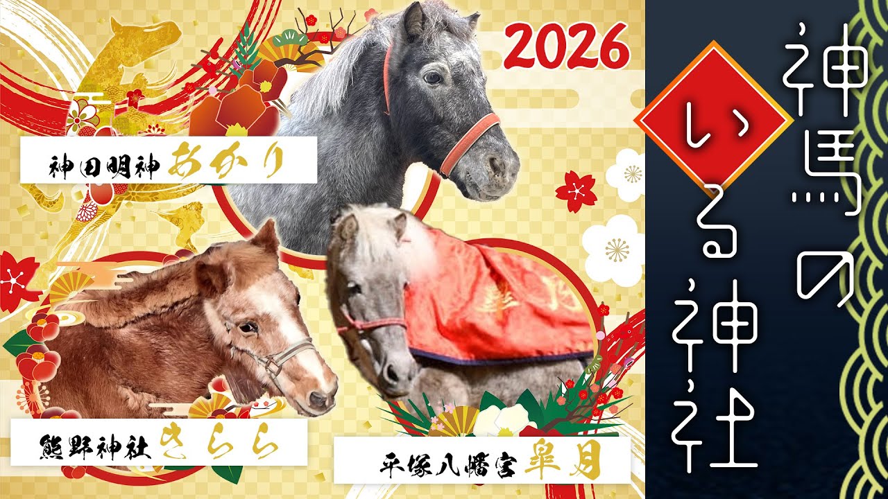 初詣にもおすすめ！2026年・午年に訪れたいパワースポット　神馬のいる神社【神馬6頭登場】