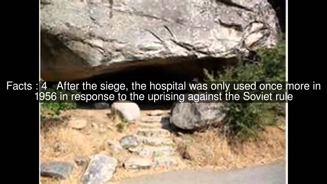 Hospital in the Rock Top  #9 Facts