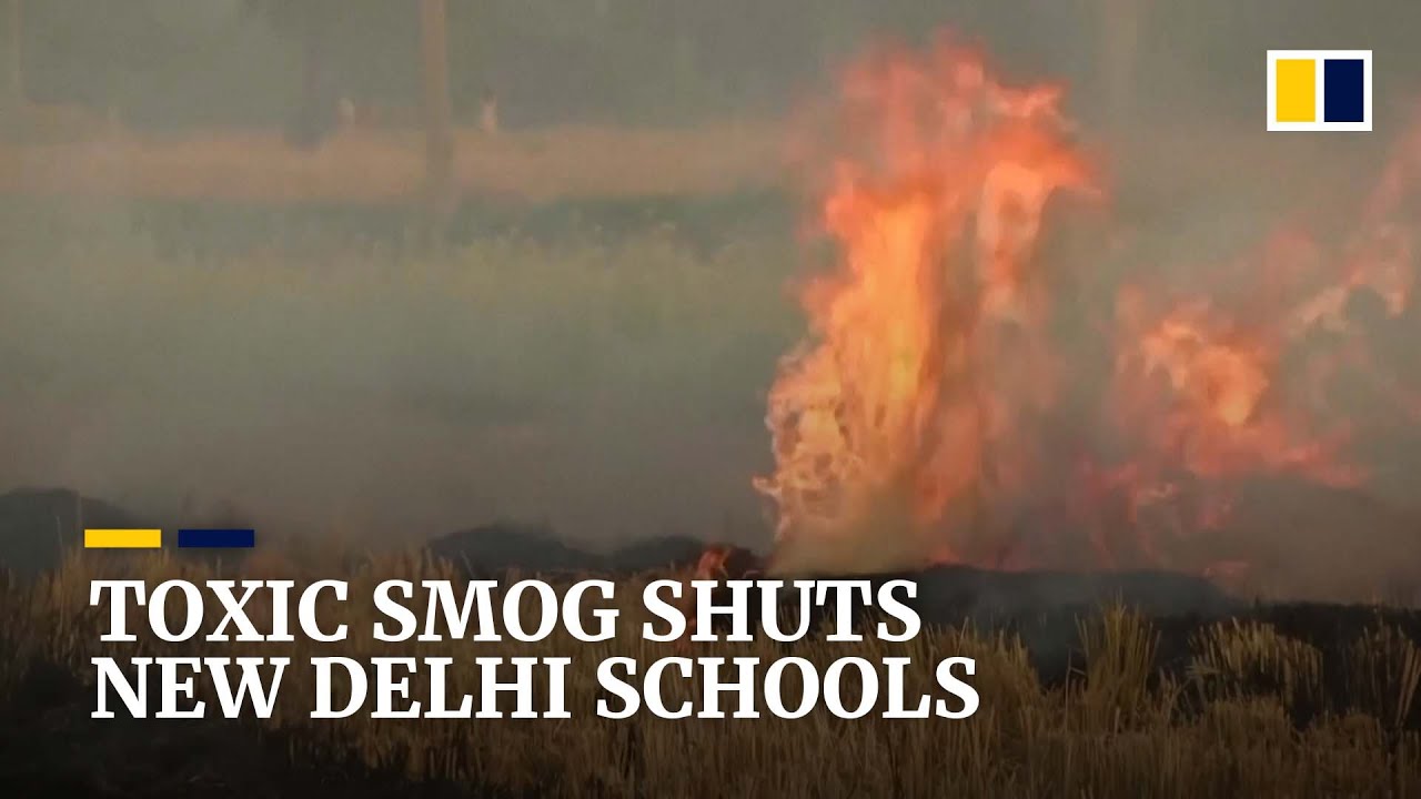 New Delhi shuts schools for a week as toxic smog blankets India&rsquo;s capital