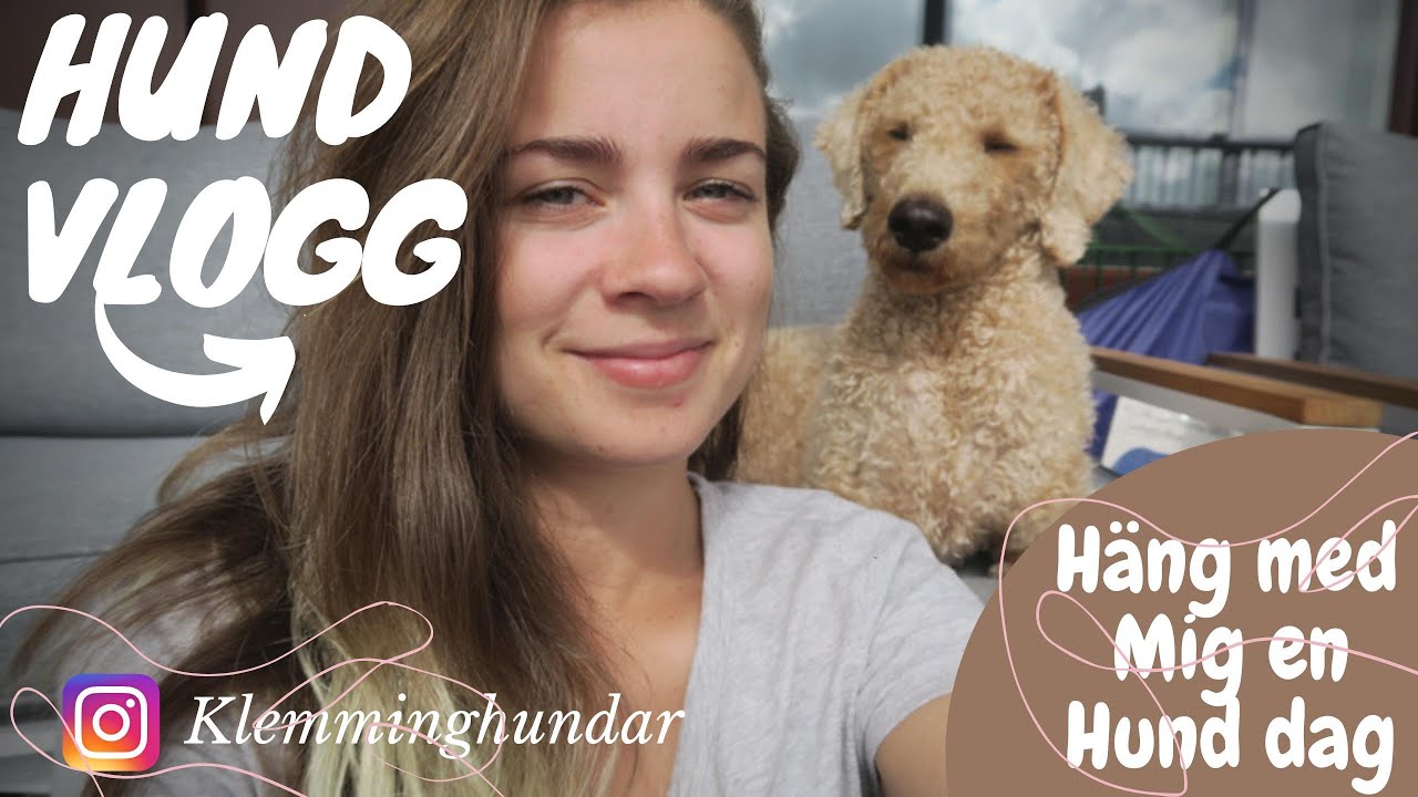HUNDVLOGG - (VAD TÄNKER JAG OM RÄDDA HUNDAR?) OCH VAD TYCKER JAG EGENTLIGEN OM ANDERS HALLGREN?