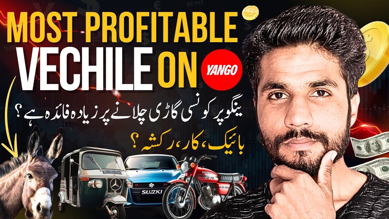 YANGO Par Kya Chalana Chahiye? (Car, Bike, Rickshaw or Donkey 🐴) | Yango Earning in Pakistan