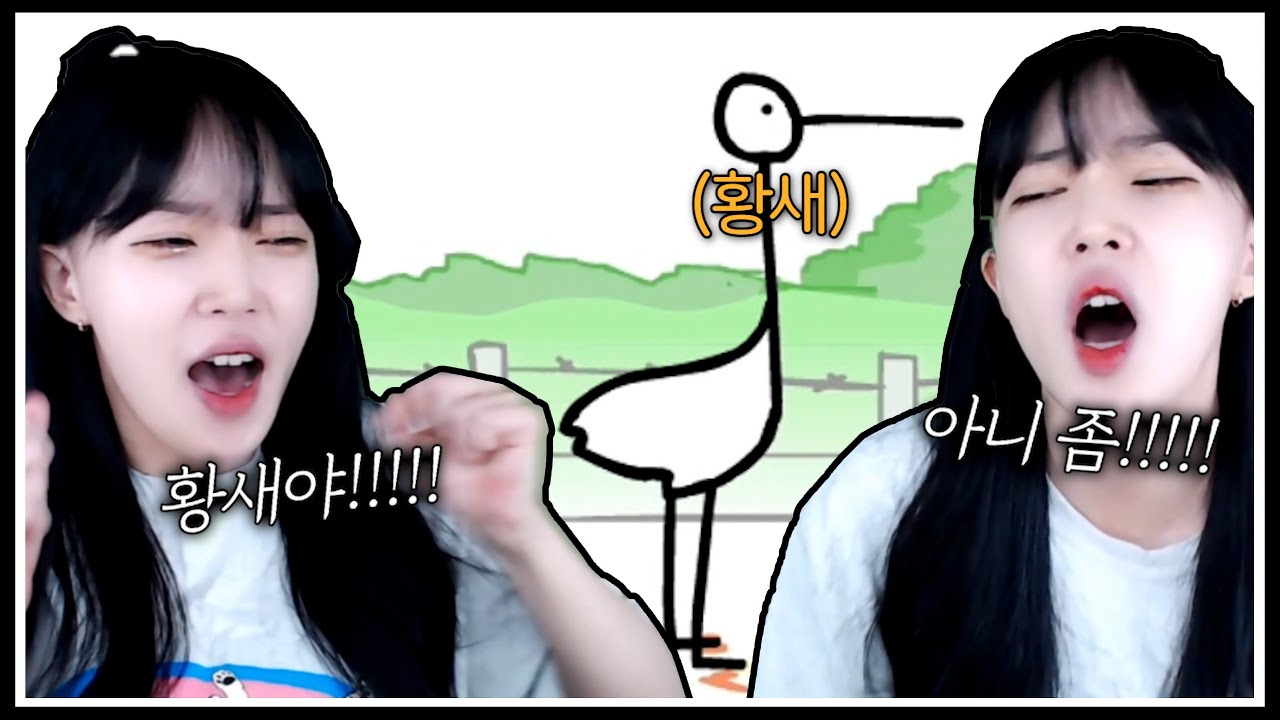 황새야!!!!!