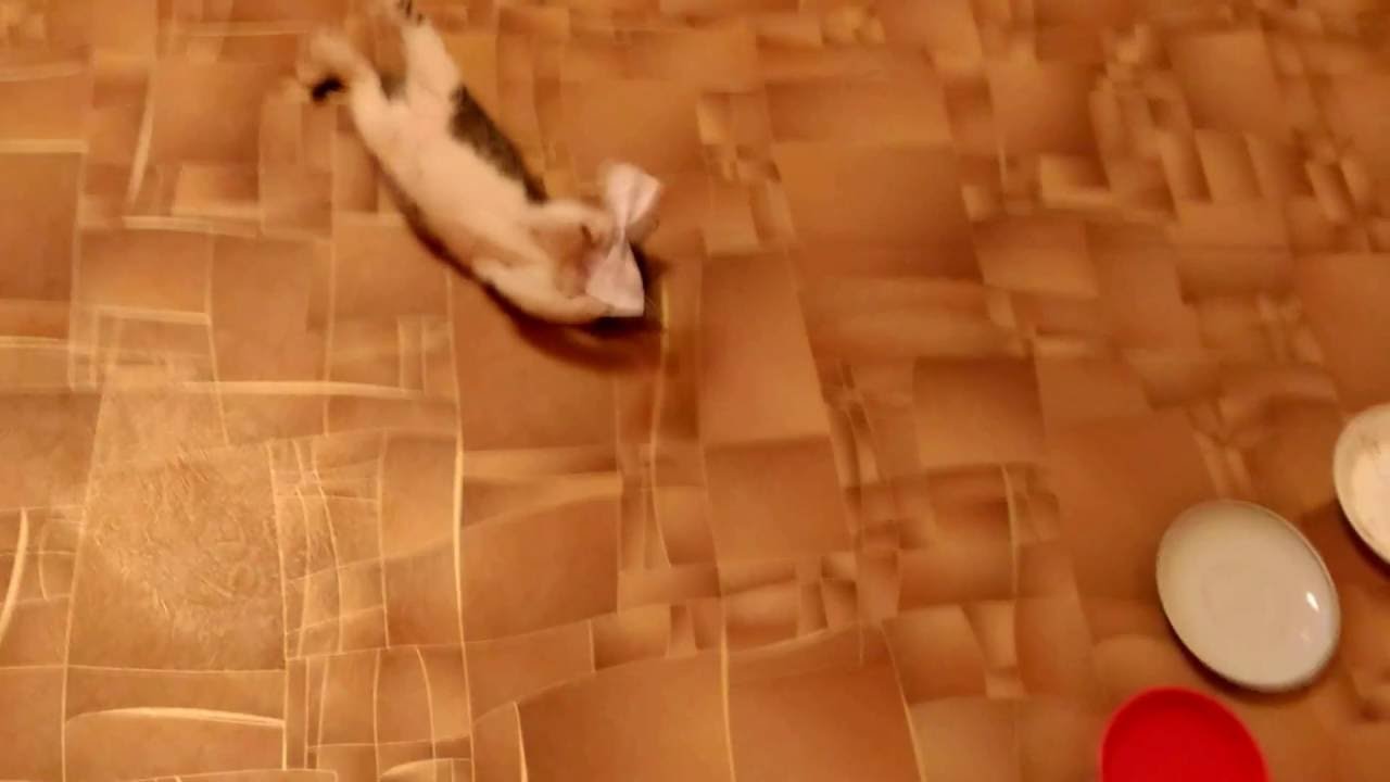 V 20161127 154617
