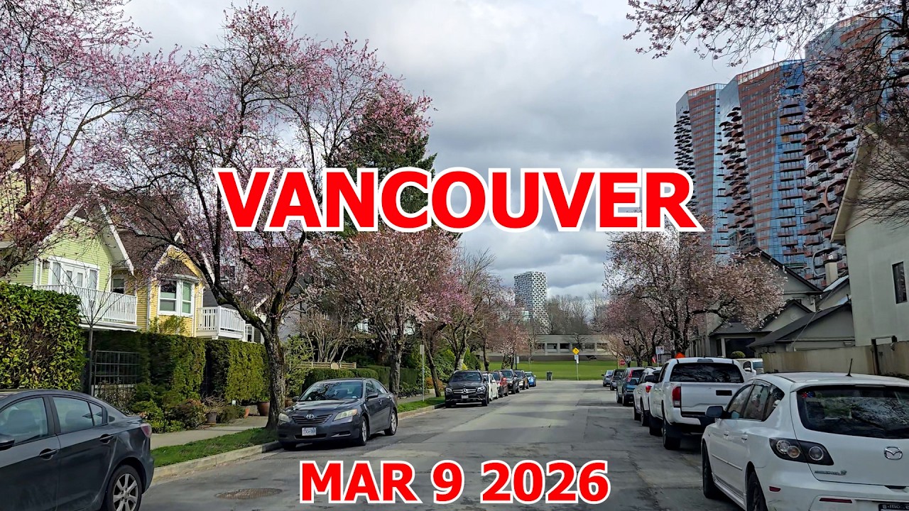 VANCOUVER CANADA DRIVE on March 9 2026: Early Spring Blooms