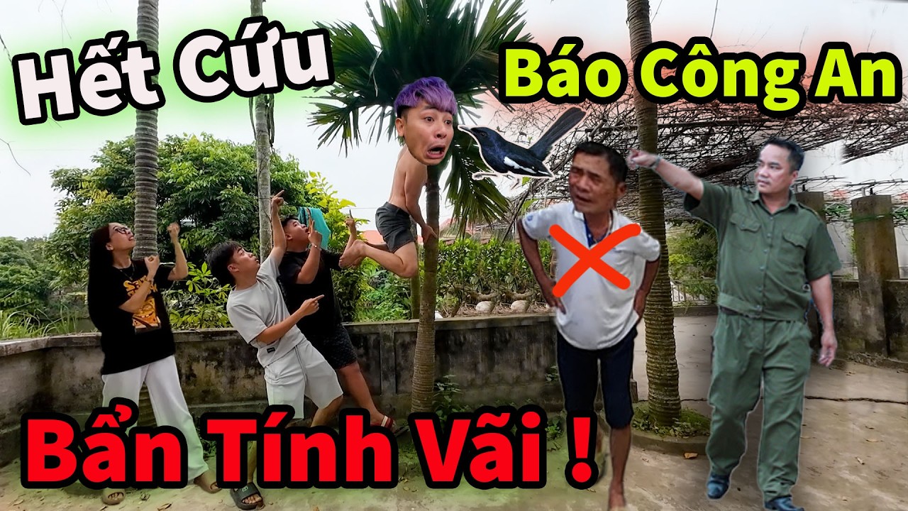 Hậu C&aacute;o Gặp Nạn Rủ Vợ Bầu Săn Tổ Chim Ch&iacute;ch Cho&egrave; Non