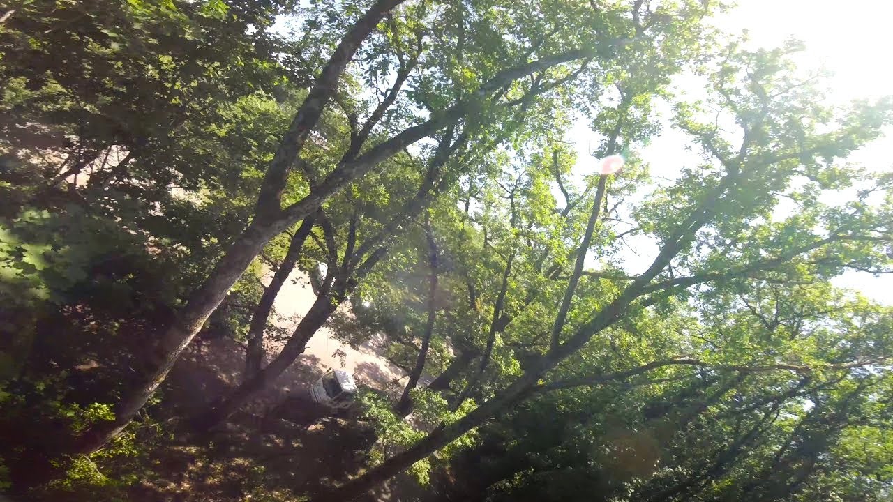 Don't stuck in trees ! (fpv forest)