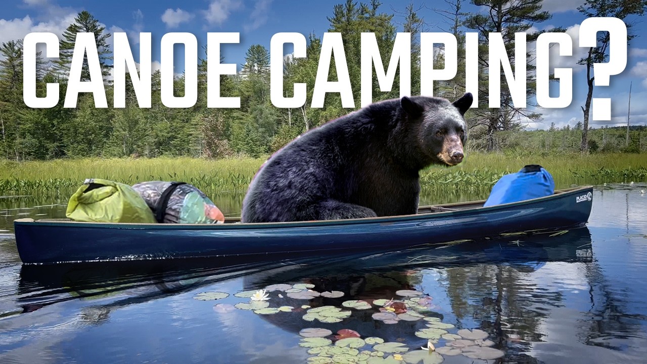 Canoe Camping in the Adirondacks? 5 Things You Should Know!