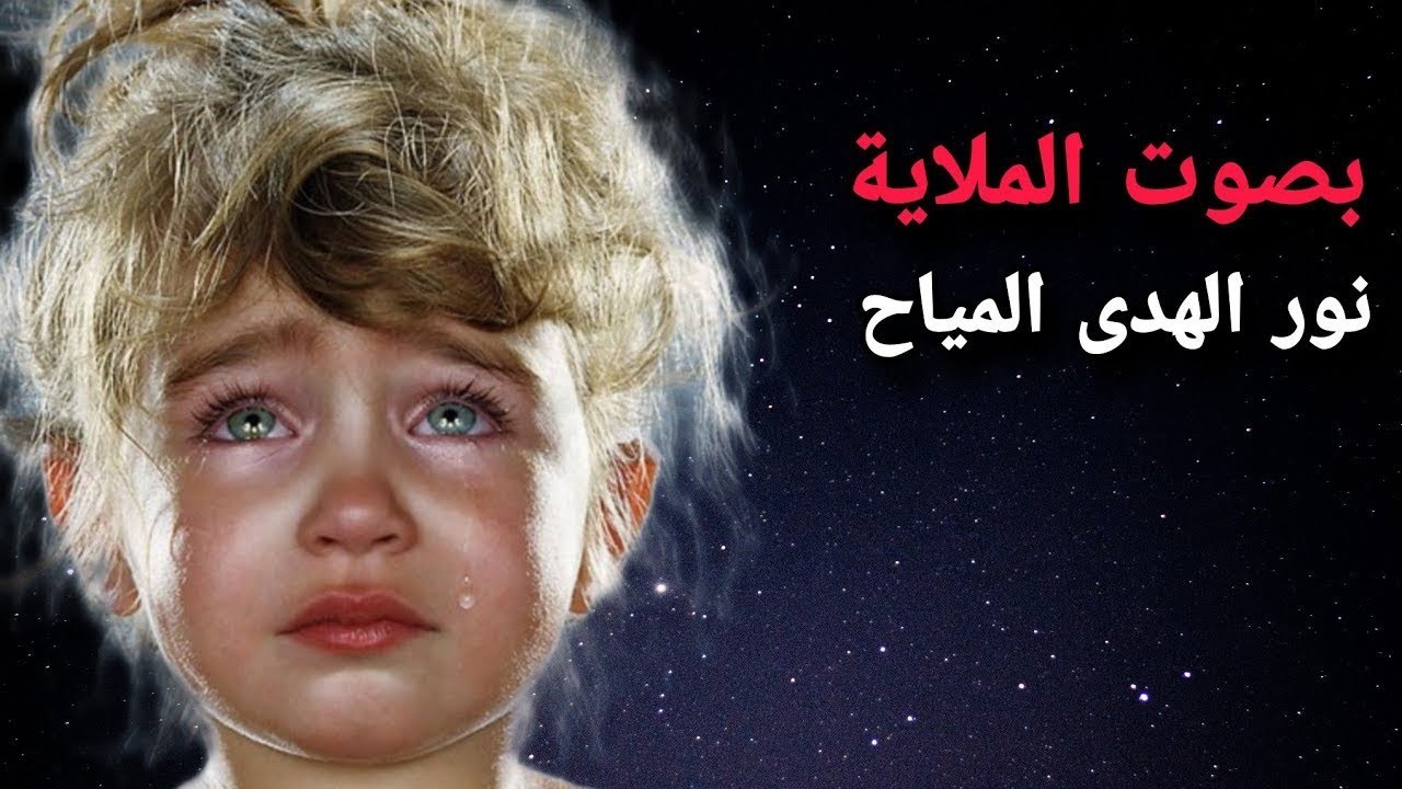 ملاية نور الهدى - لطم حماسي - اشترك بالقناة وفعل الجرس 🔔
