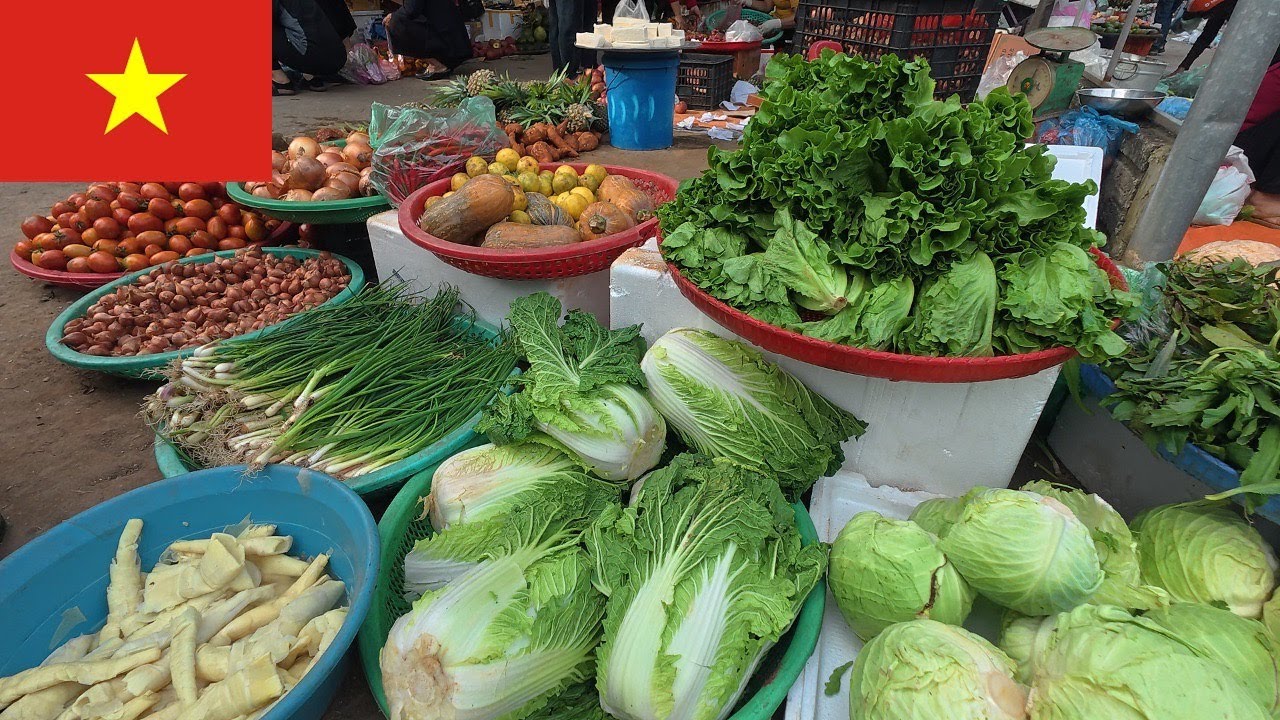Traditional Vietnamese Morning Market &ndash; Explore Authentic Rural Life