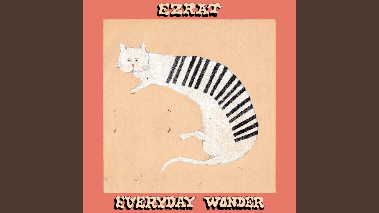 Everyday Wonder