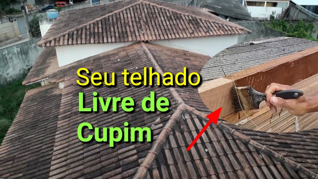 Com essa mistura cupim não entra na madeira do telhado!