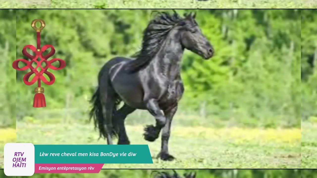 Lèw reve cheval men kisa BonDye vle diw!!!