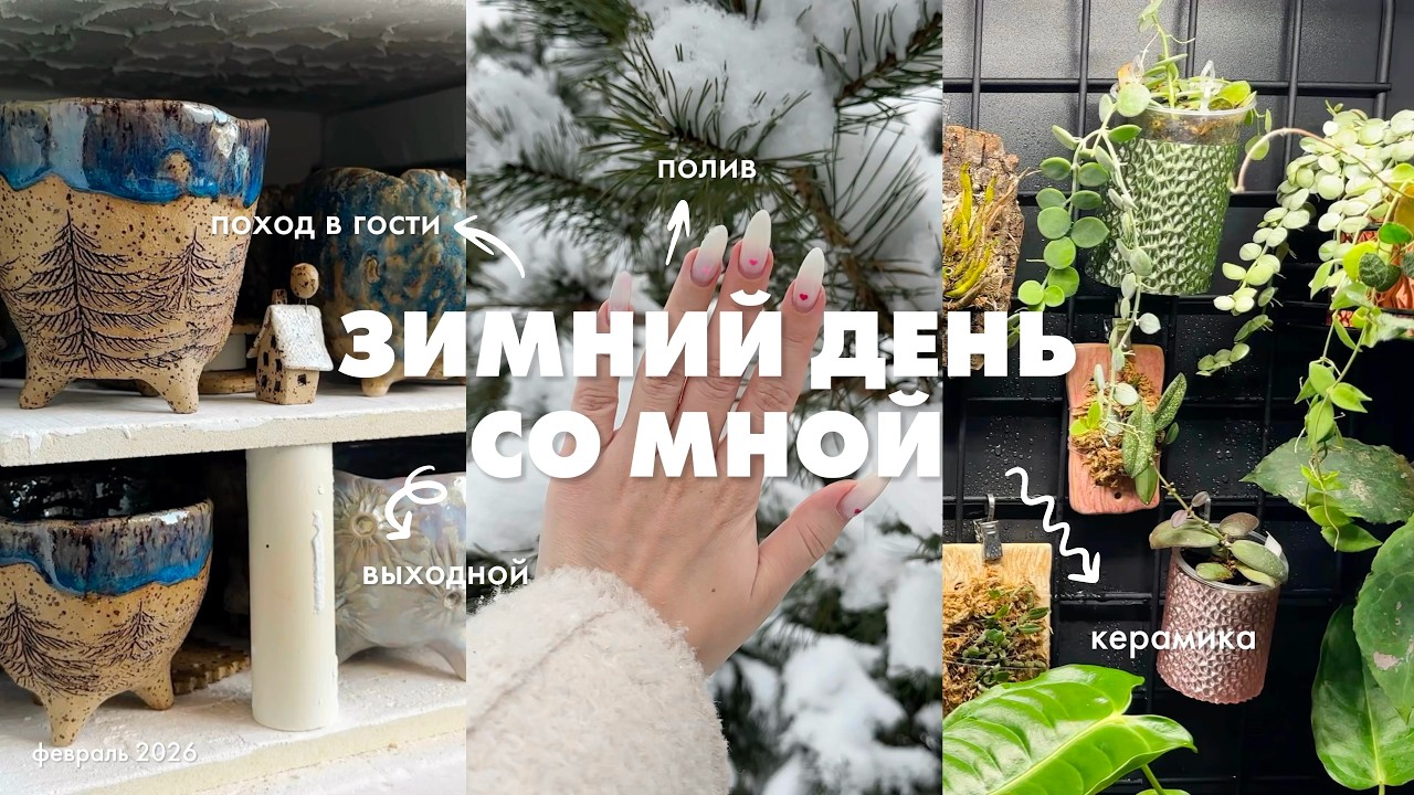 ep.2 тихий уютный влог 🤍 полив растений | поход в гости | создание керамики