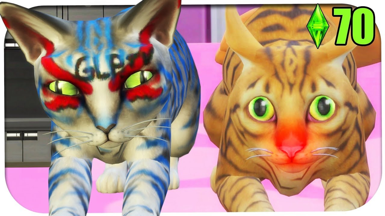 Nach 70 Folgen habe ich es endlich geschafft! ☆ Sims 4