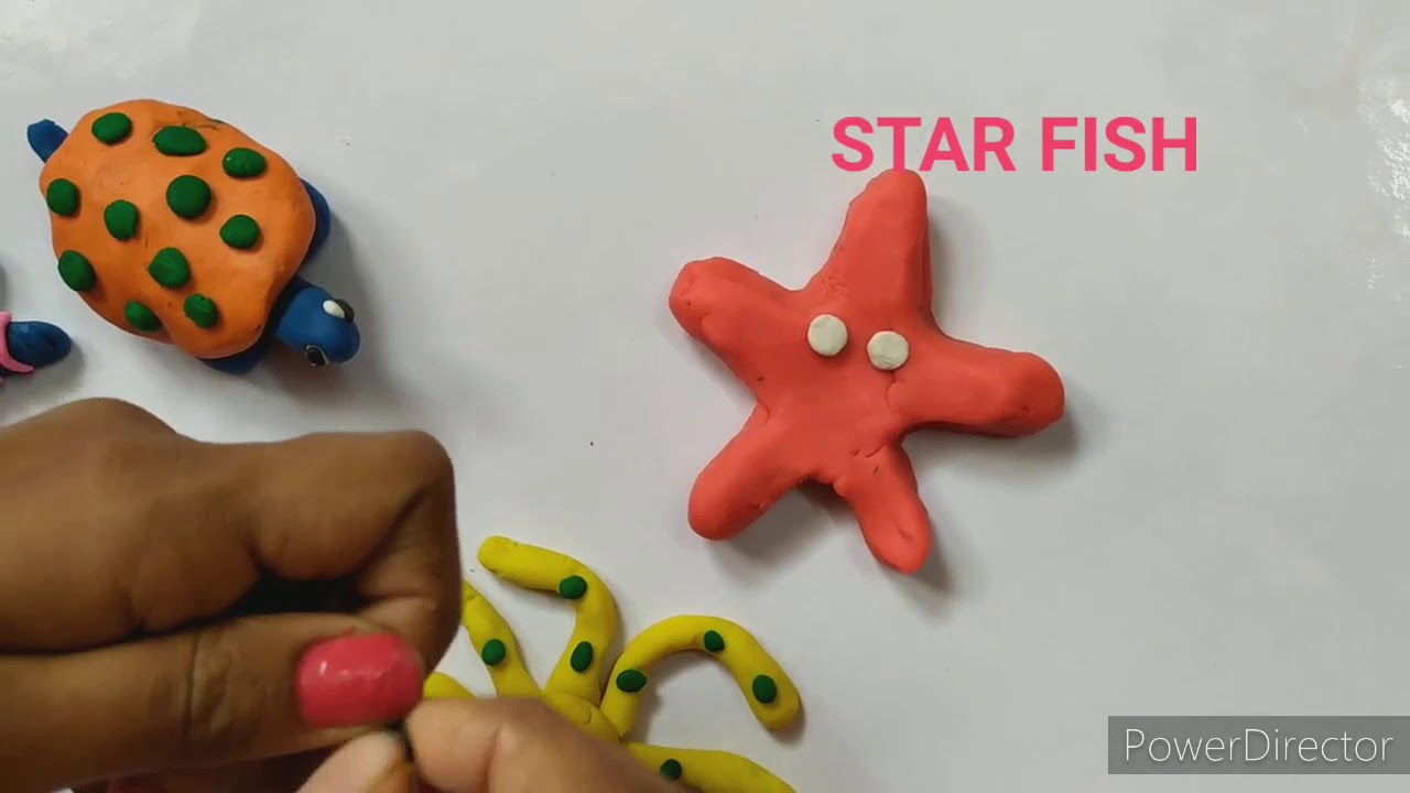 CLAY MODELLING - SEA ANIMALS