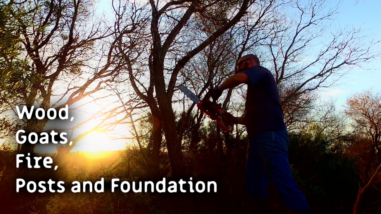 How plain homesteading days are never boring. Let's cut wood and graze some goats