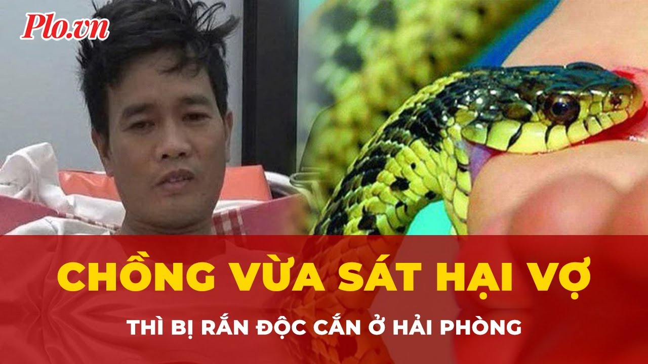 Hy hữu ở Hải Phòng: Chồng vừa sát hại vợ thì bị rắn độc cắn | Tin nhanh