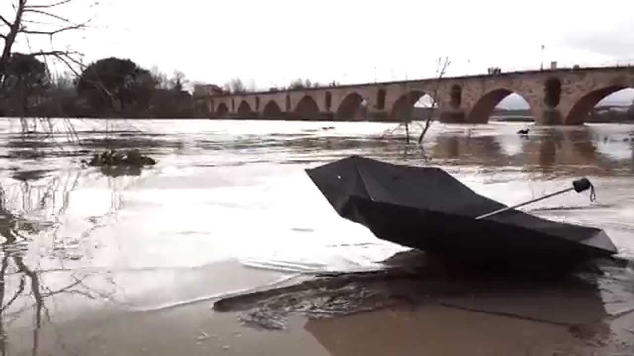 Crecida del Duero. Zamora, 11 febrero 2014