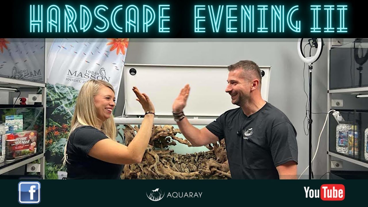 HARDSCAPE EVENING III - MASSON Chorz&oacute;w - Aranżujemy zbiornik Akvastabil MOVE 360L