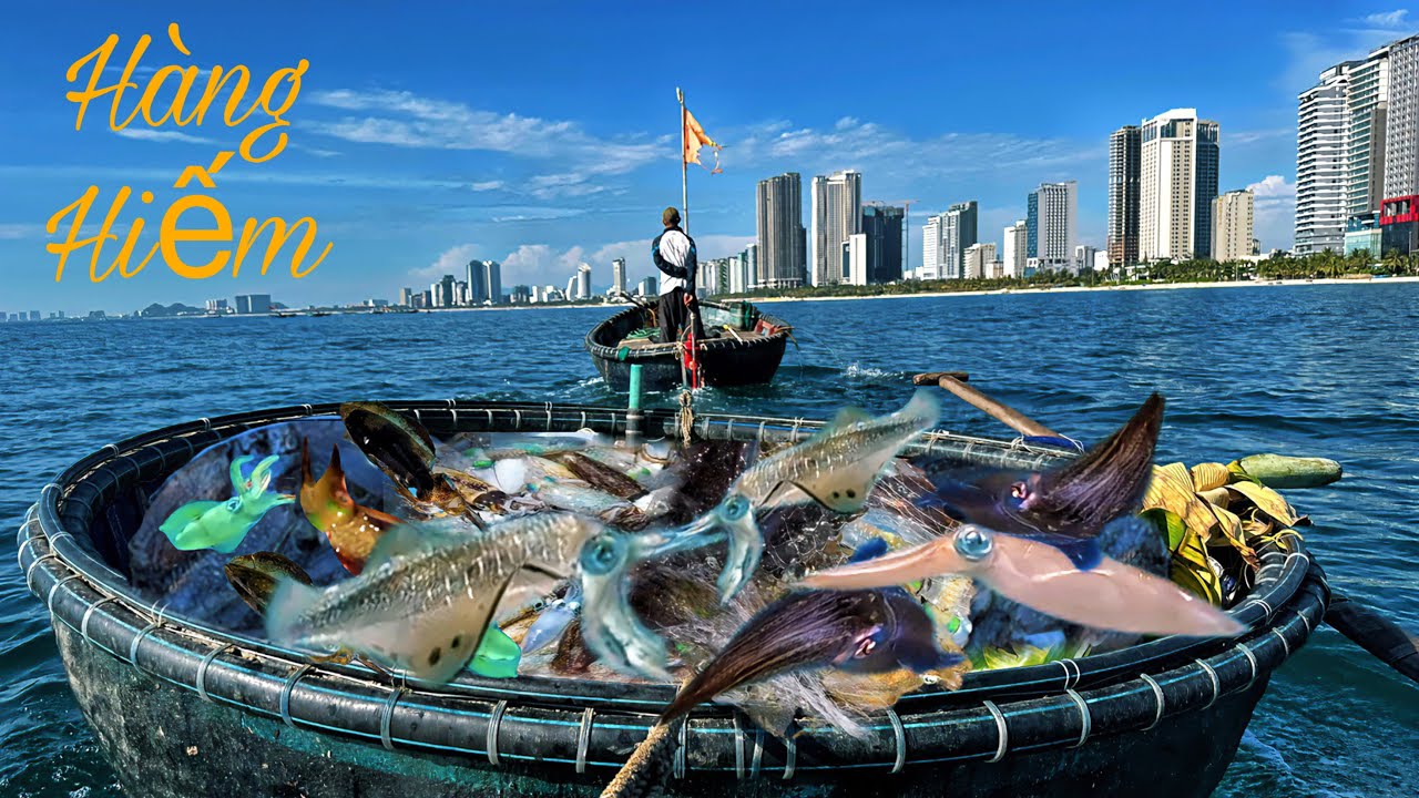 Câu Mực Kiếm Tiền Triệu Tại Biển Mân Thái Sơn Trà