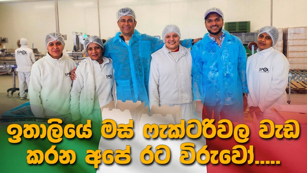 ඉතාලියේ මස් Factory වල වැඩ කරන අපේ රට විරුවෝ