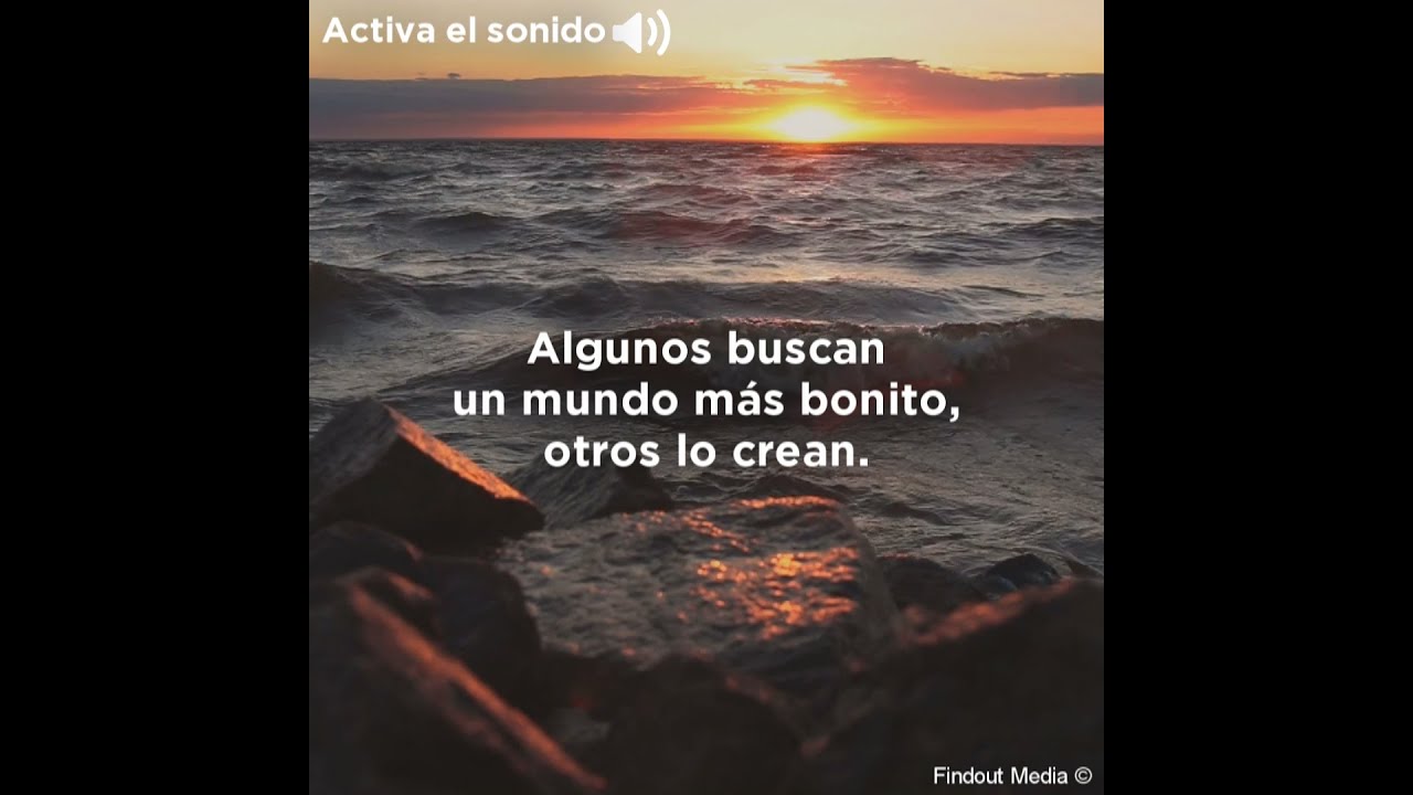 Bonitas reflexiones para un día pleno