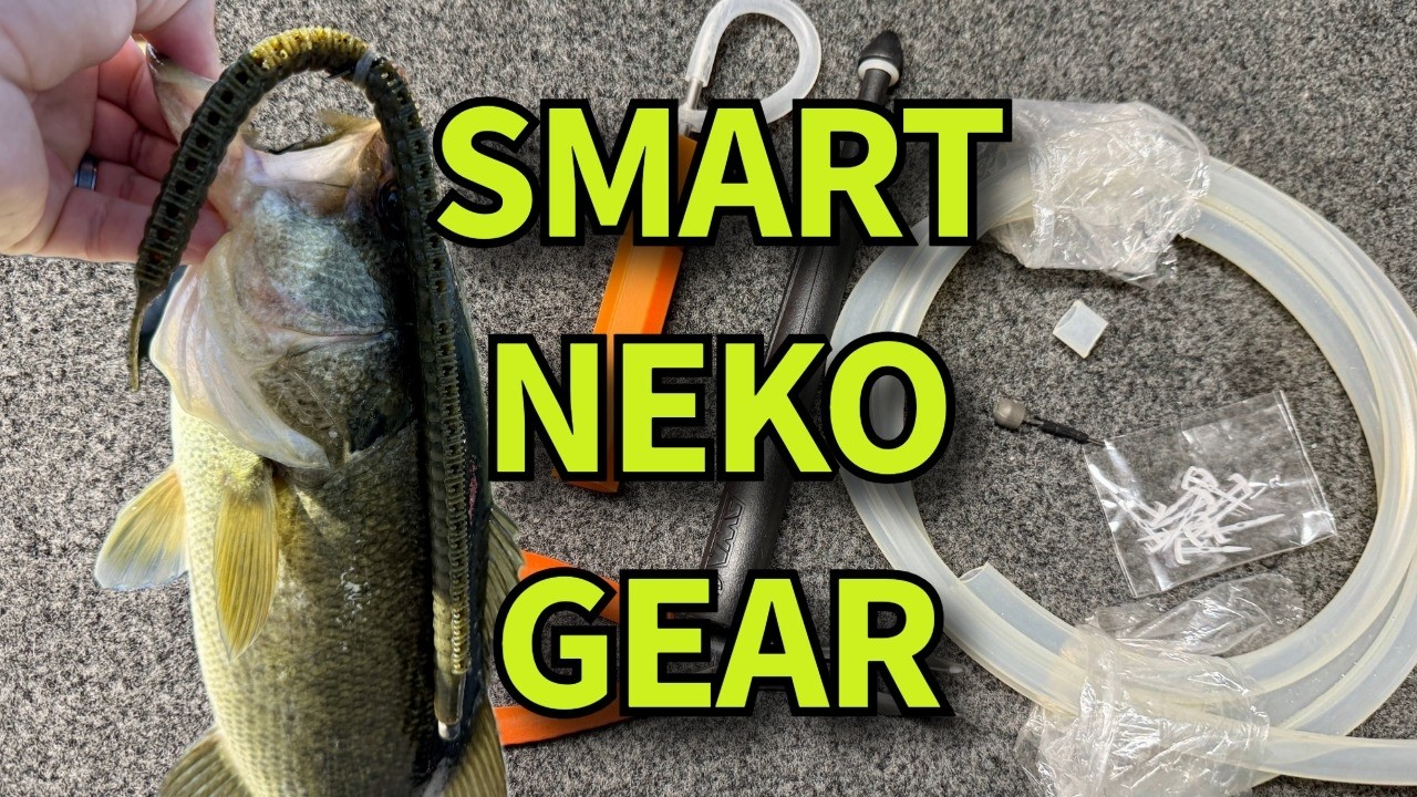Unique Neko Rig Gear to Improve Your Fishing