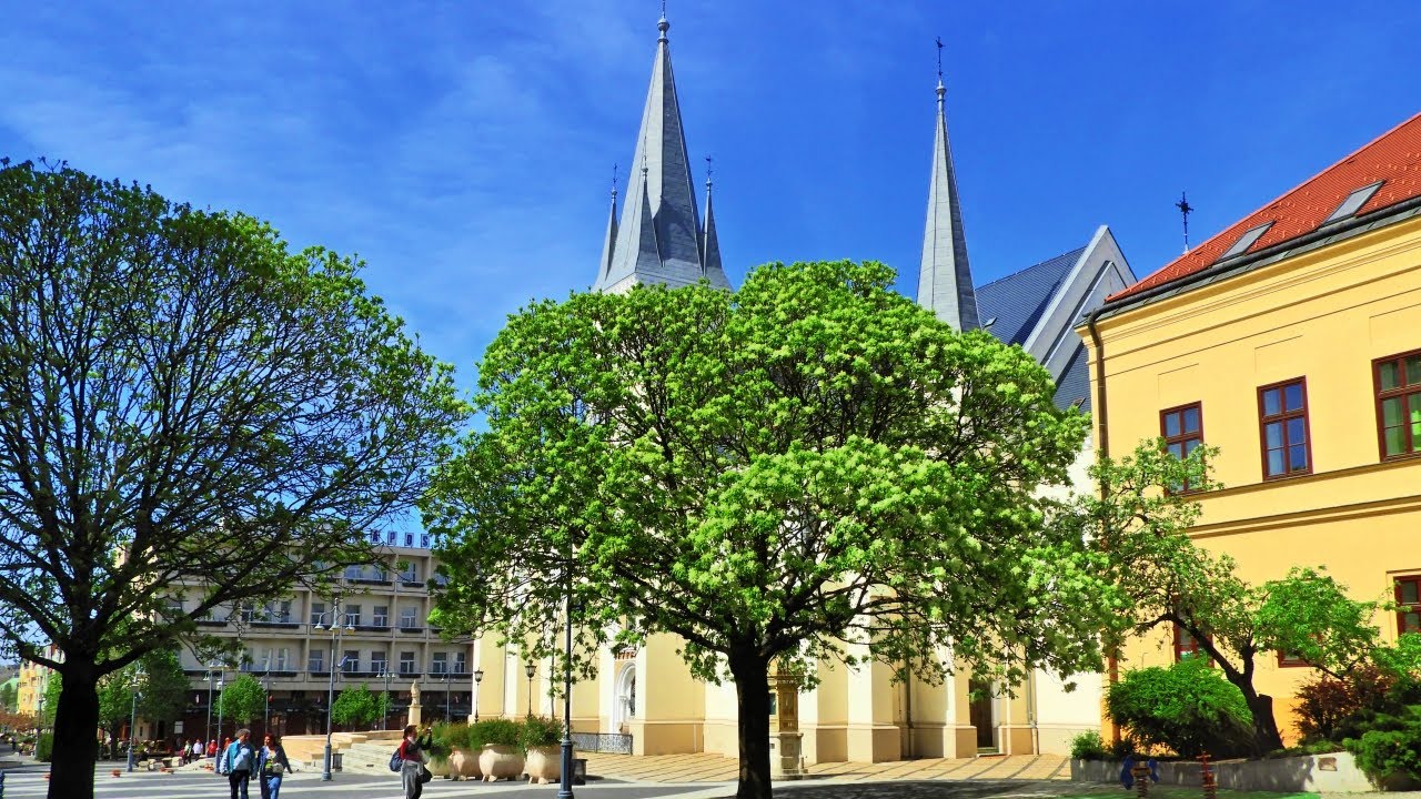 Walking tour in Kaposvár - 2024