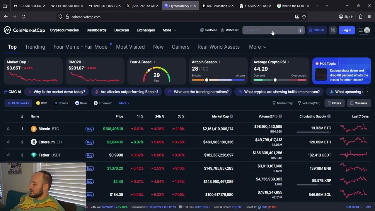 Золотая возможность COOKIE DAO: несколько сотен X Crypto Gem