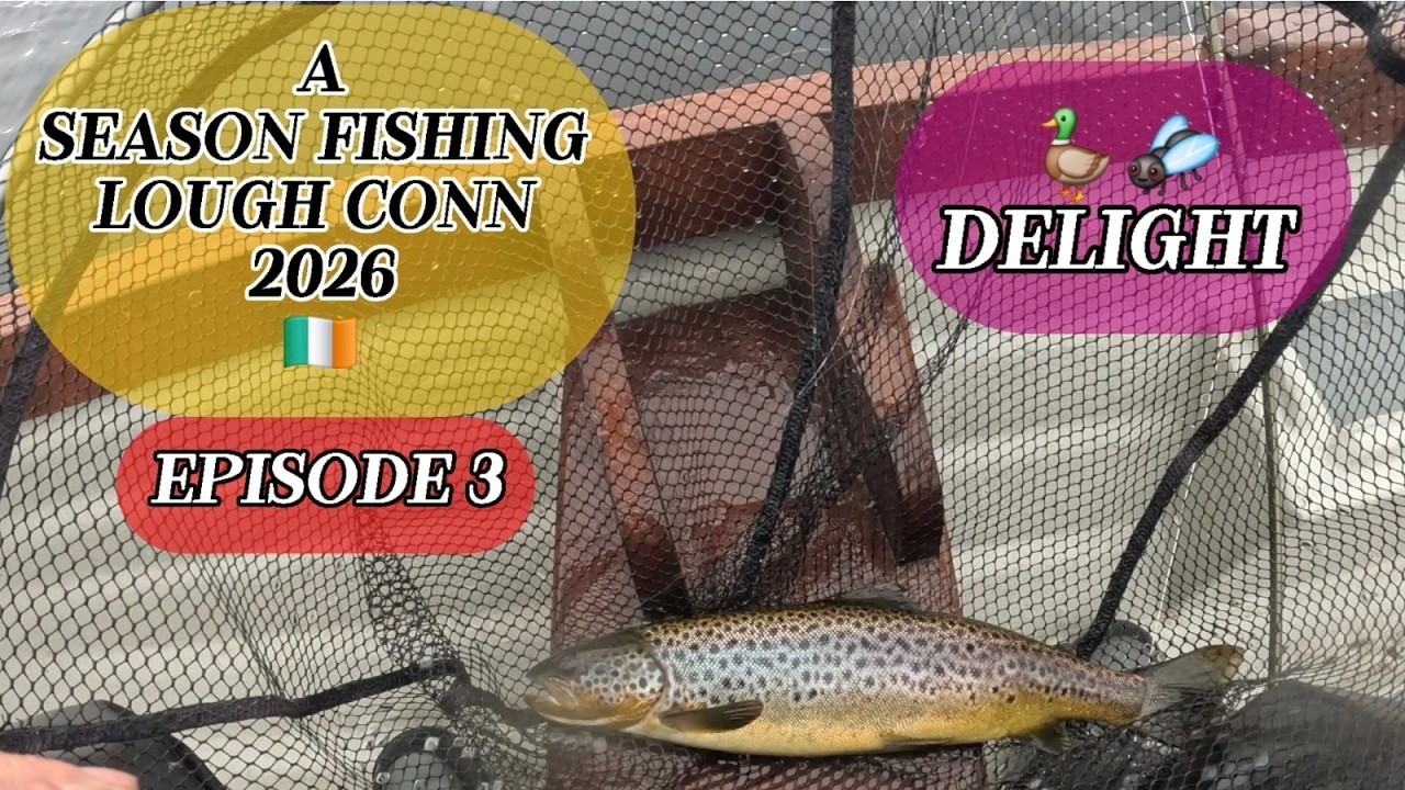 LOUGH CONN 🇮🇪 PRIMA TROTA CON LA MOSCA A FORMA DI ANATRA #pesca