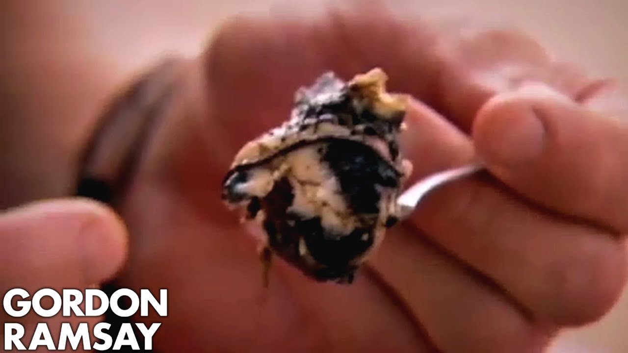 Gordon Ramsay Eats Unborn Duck Foetus in Cambodia