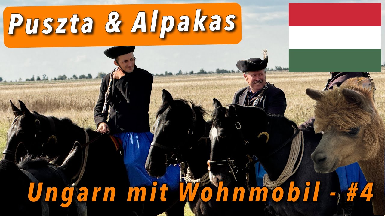 Ungarn mit dem Wohnmobil #4 – Durch die Puszta nach Gyula 🏰 & Übernachtung bei Alpakas 🦙