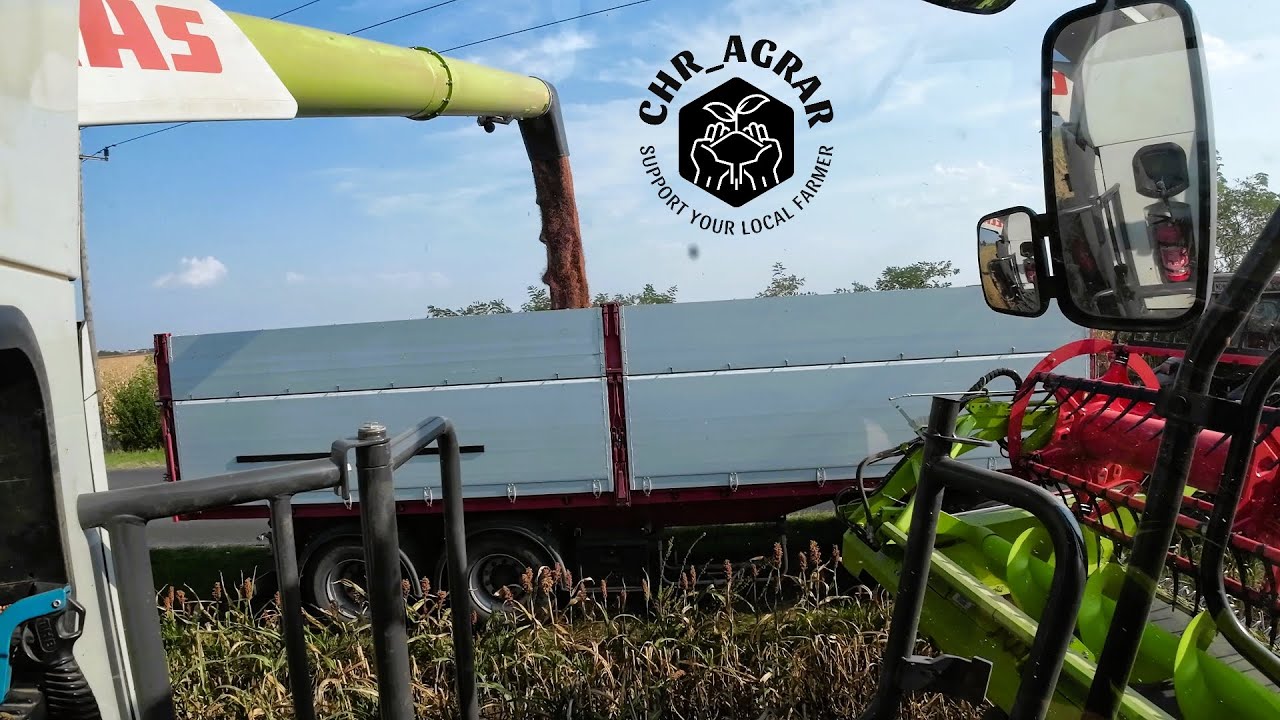 Farmvlog #56 - Die Hirse ist reif