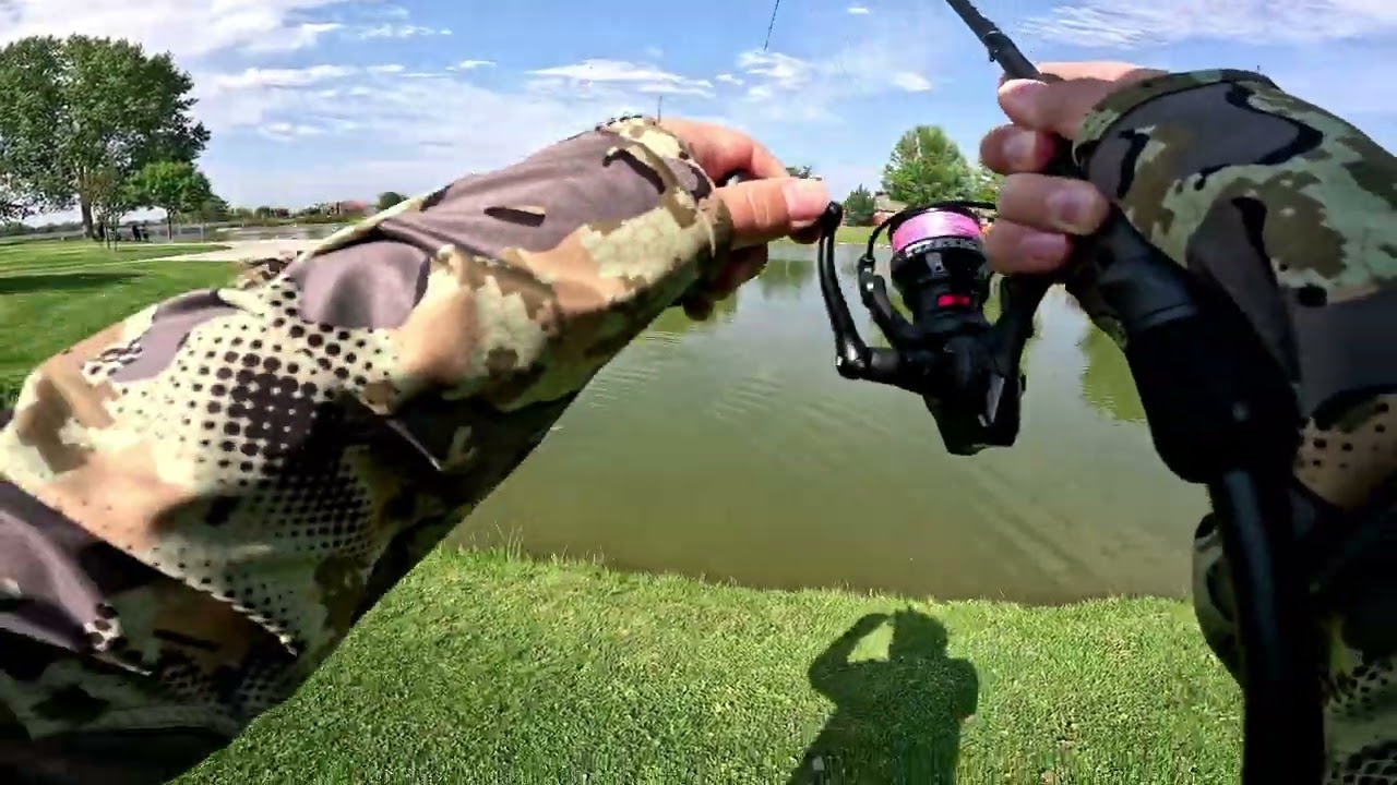 Easy carp fishing!!