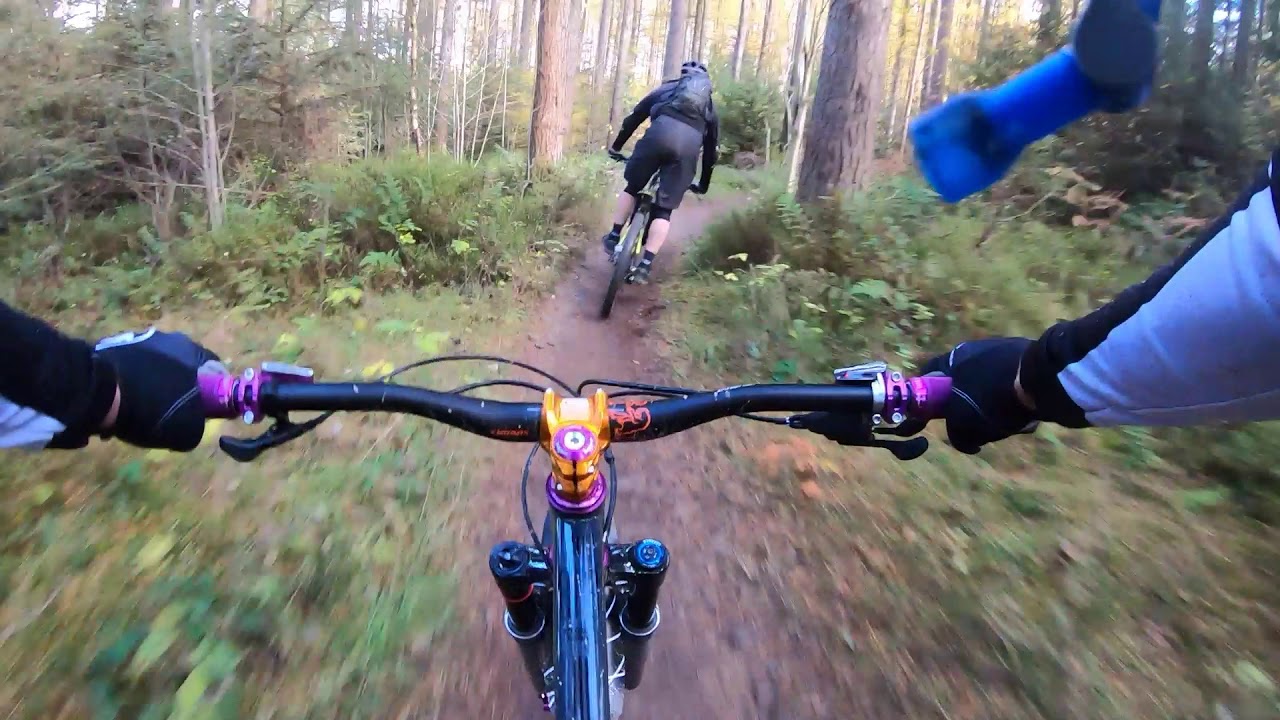 First ride on new Cotic 2020 Bfe, Hamsterley Forest.