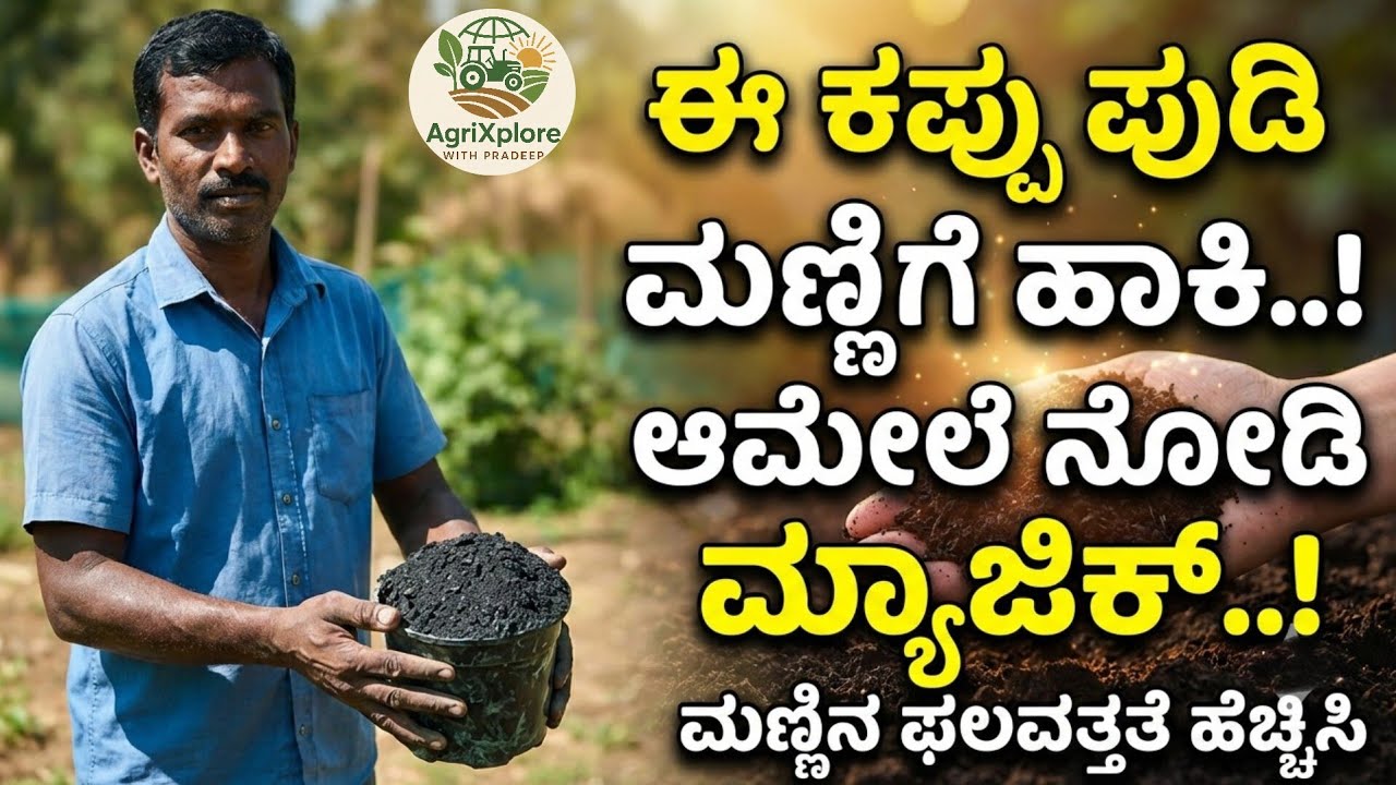 0₹ ವೆಚ್ಚದಲ್ಲಿ ಸುಲಭವಾಗಿ ತಯಾರಿಸಿ | ಈ ಕಪ್ಪು ಪುಡಿ ಮಣ್ಣಿಗೆ ಹಾಕಿದ್ರೆ 2 ಪಟ್ಟು ಮಣ್ಣಿನ ಶಕ್ತಿ ಹೆಚ್ಚಿಸುತ್ತೆ.! 