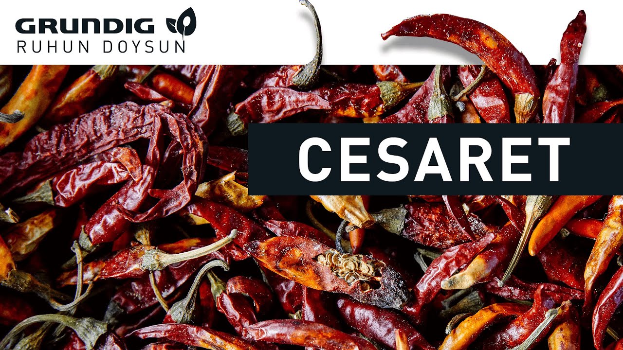Cesaret | Grundig | Ruhun Doysun | 3. Sezon 8. Bölüm