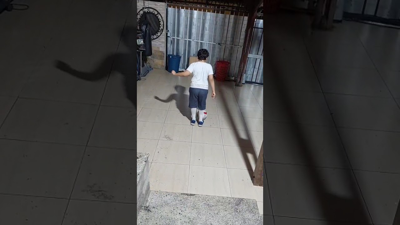 Acerte as cestas com as bolas e com menos toques
