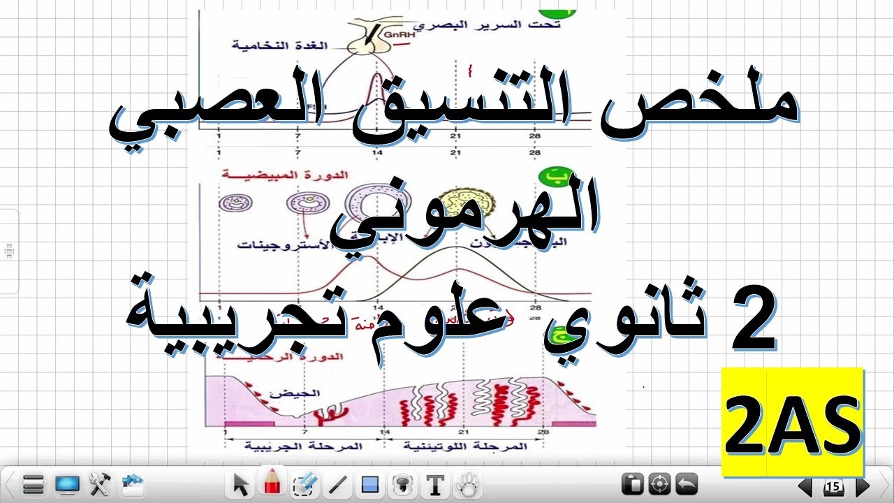 ملخص  التنسيق العصبي الهرموني علوم طبيعية ثانية ثانوي علوم تجريبية