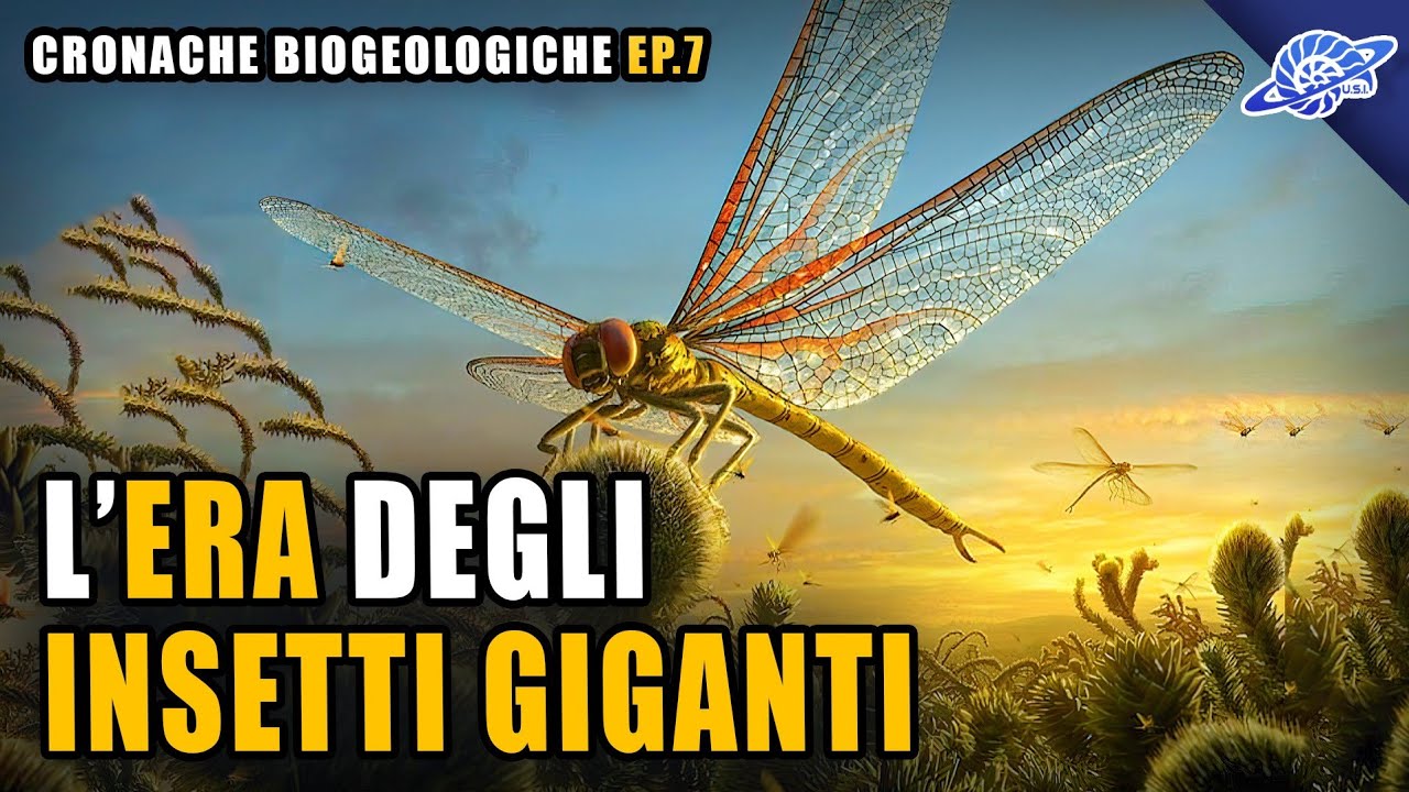 L'Era degli Insetti Giganti | Carbonifero | Cronache Biogeologiche Ep. 7