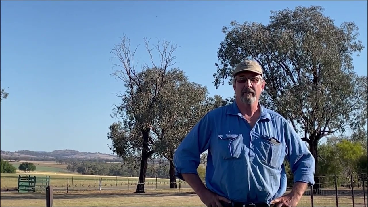NSW Apiarists’ Association update