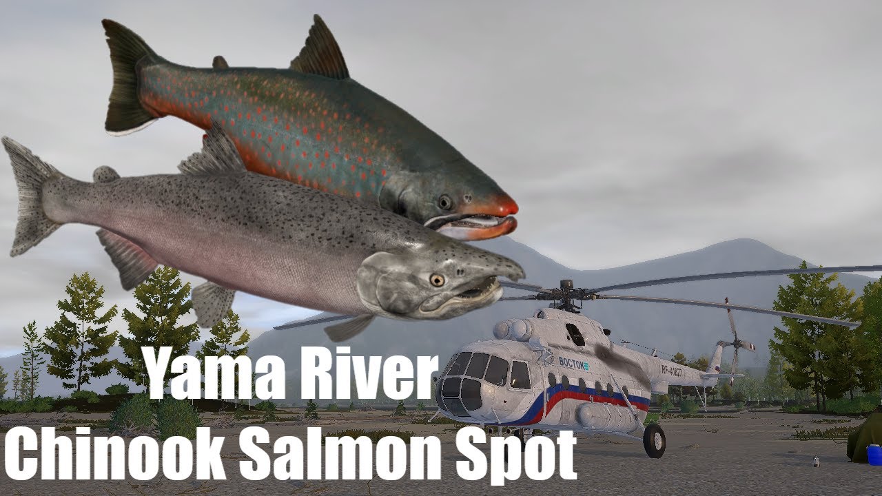 RF4 Spot Yama River Chinook Salmon Spot