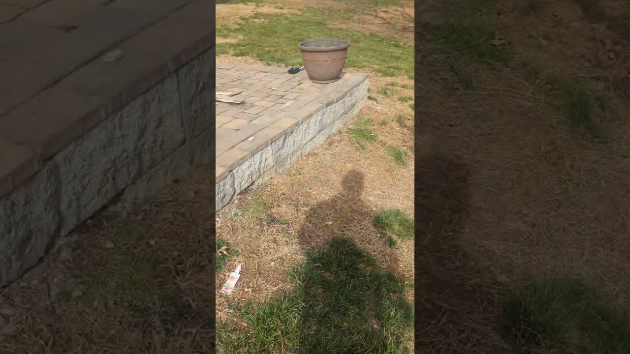 B. S.'s Lawn