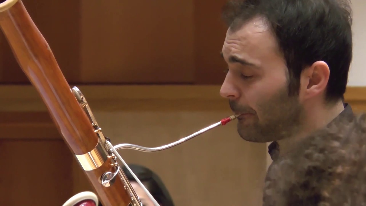Sergio Azzolini, Ozan Evruk, Antonio Vivaldi Concerto for two Cellos Rv 531  2nd Movement