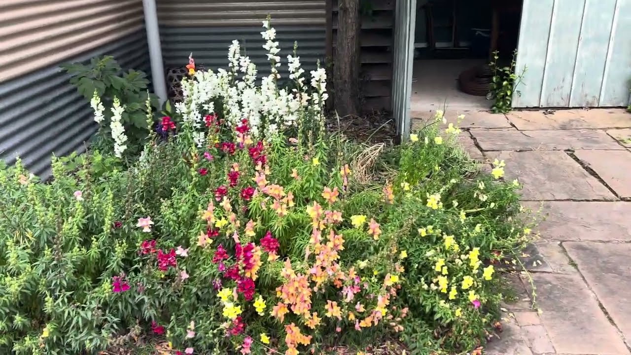 Late Spring Garden Tour - 16 November 2025