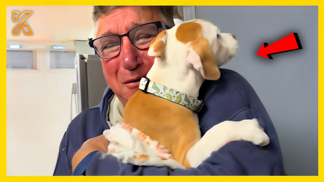 🐕🧑FULL Dads Who Didn’t Want The Damn Dog In Their Lives🤣Funny Dog and Human