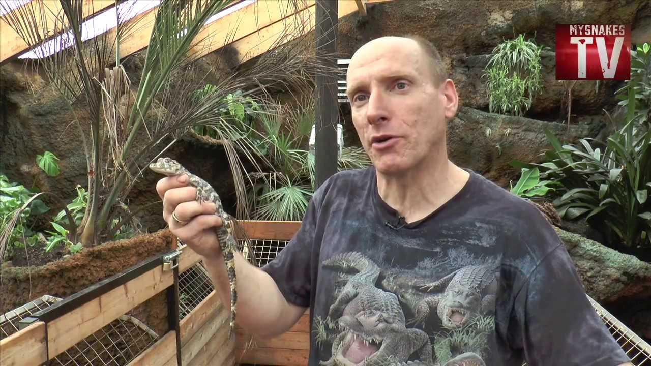 mysnakes TV #17 ( 