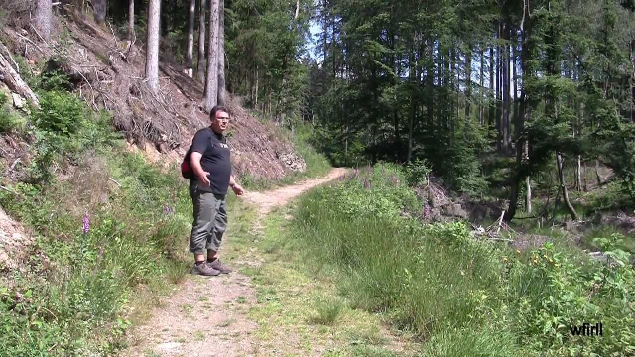 Wanderung Kell am See