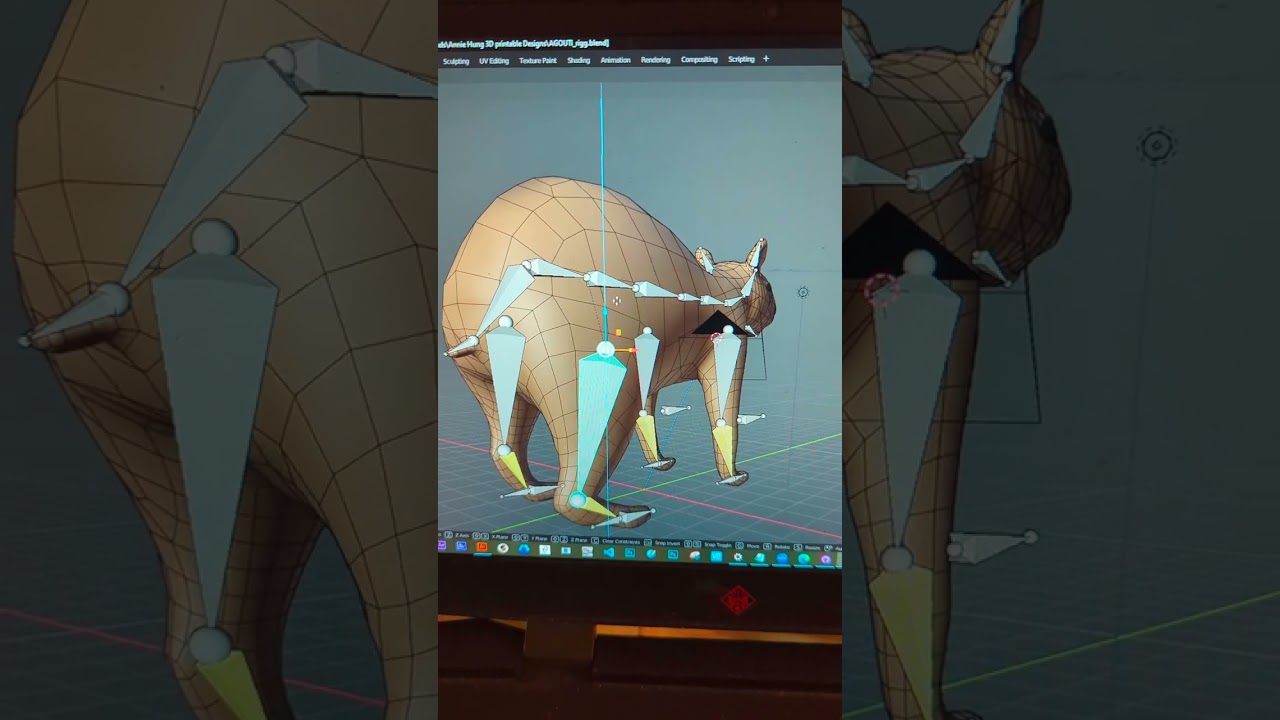 Open Source Agouti 3D Models